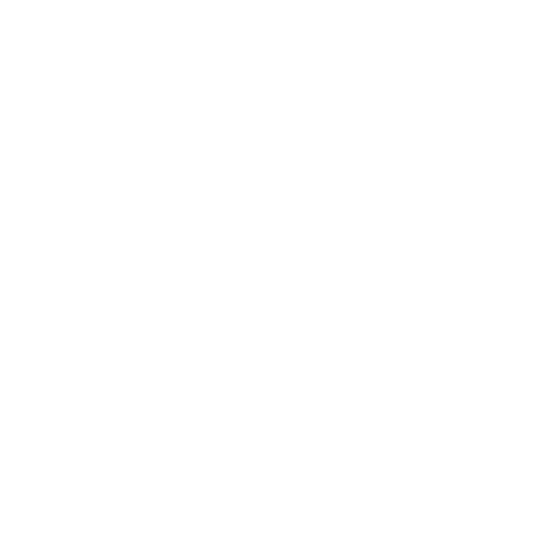 Company Logo 5